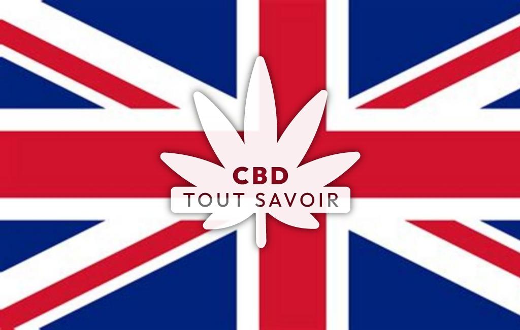 Drapeau Royaume-Uni avec feuille Cannabis CBD