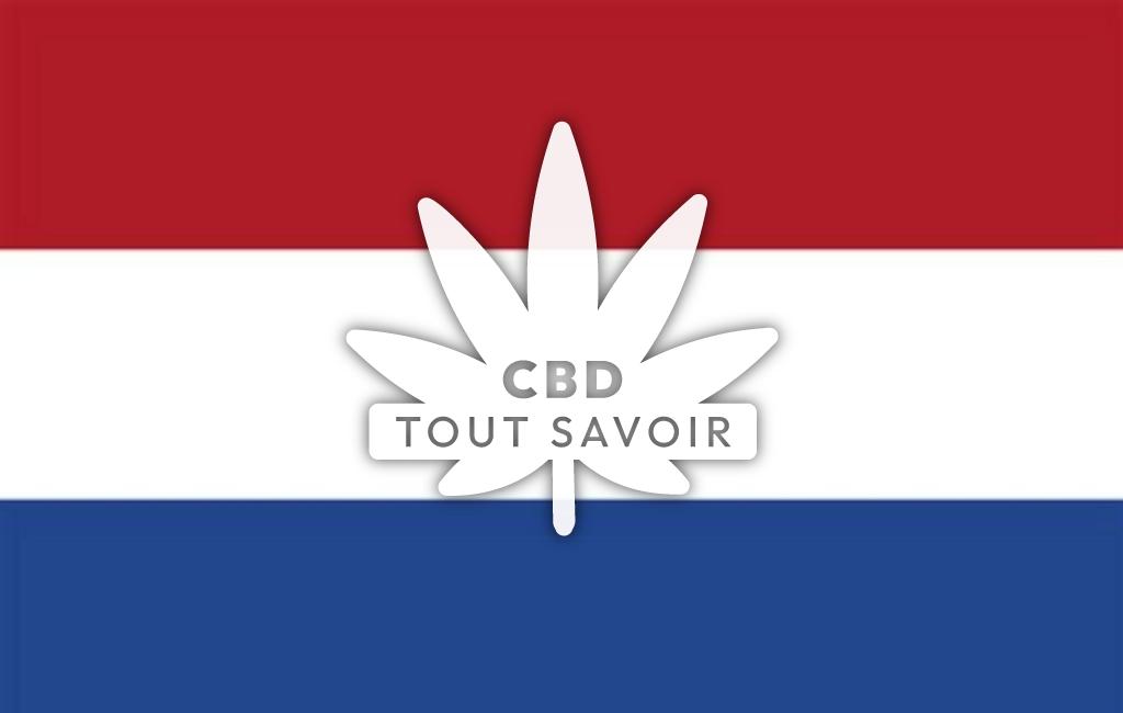 Drapeau Pays-Bas avec feuille Cannabis CBD