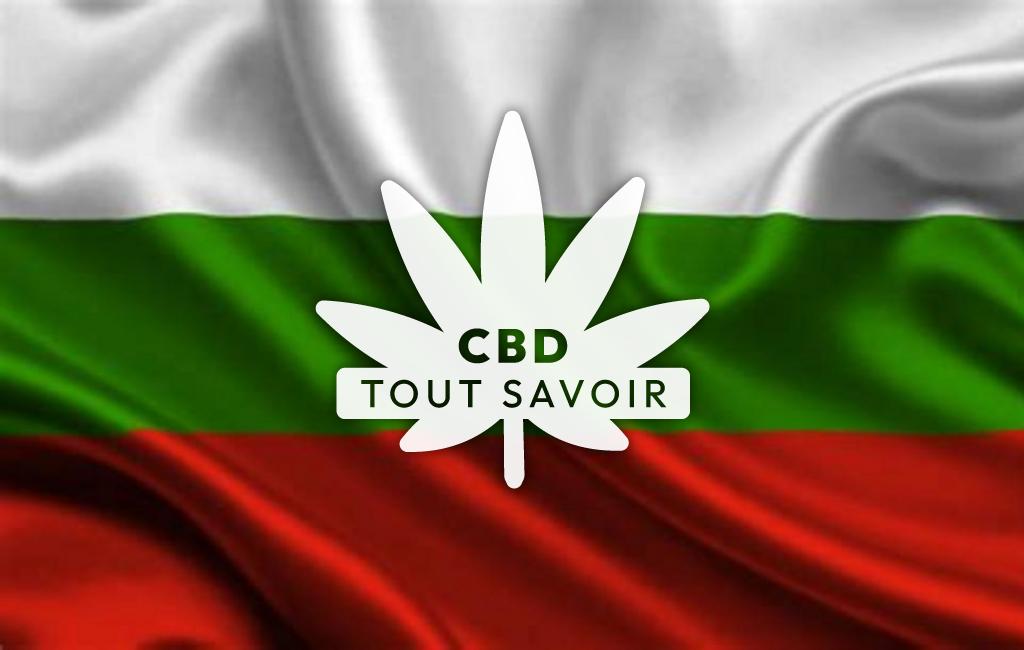 Drapeau Bulgarie avec feuille Cannabis CBD