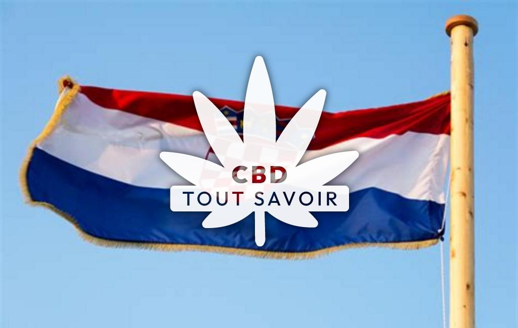 Drapeau Croatie avec feuille Cannabis CBD