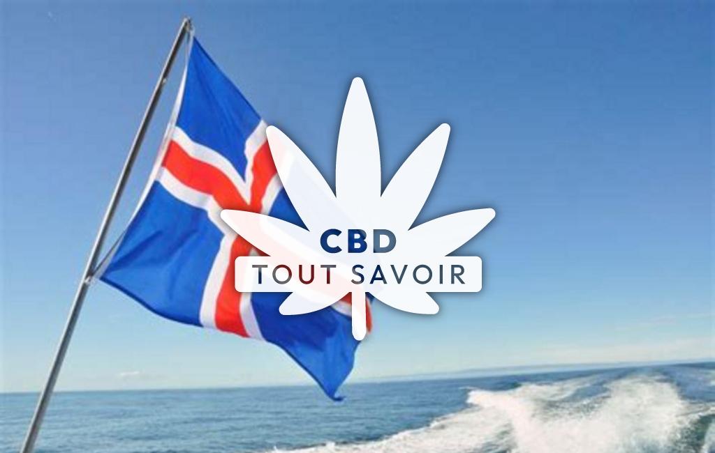 Drapeau Islande avec feuille Cannabis CBD