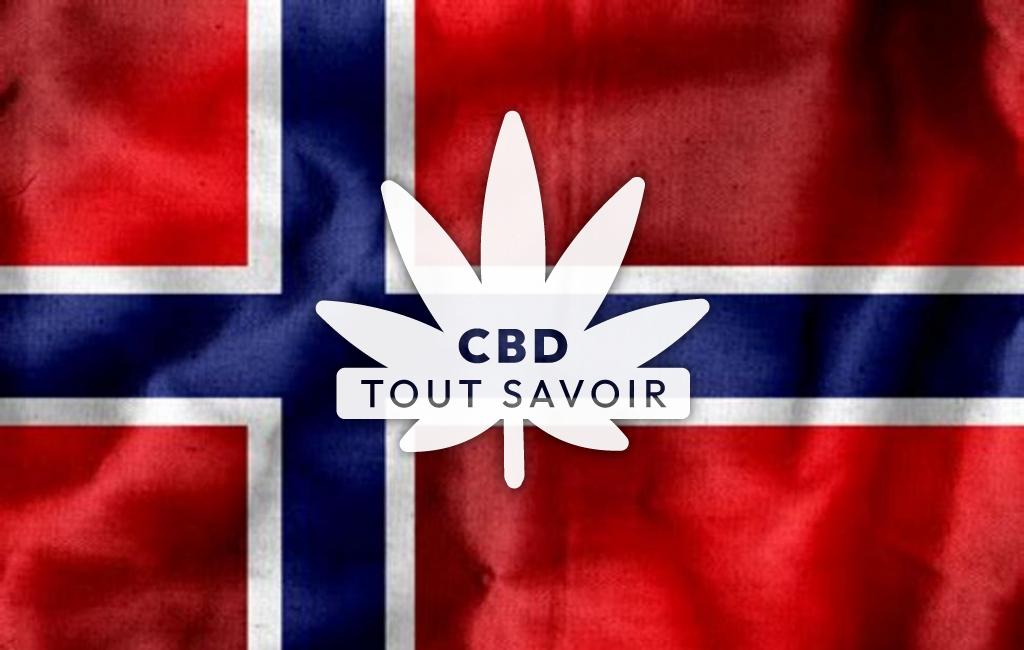 Drapeau Norvège avec feuille Cannabis CBD