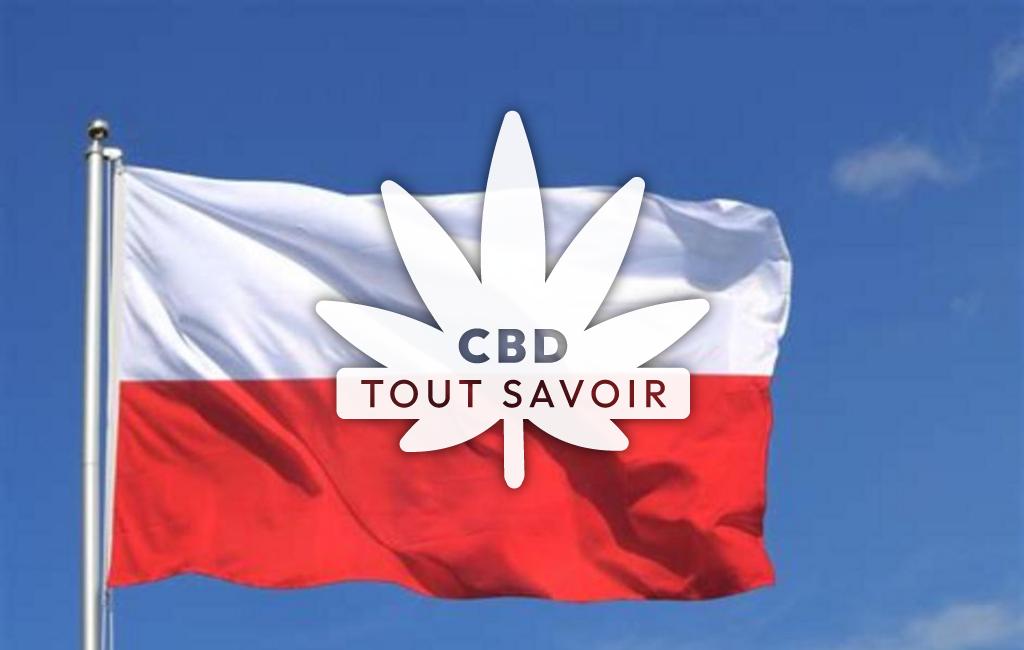 Drapeau Pologne avec feuille Cannabis CBD