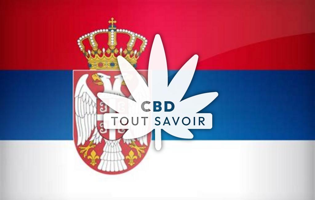 Drapeau Serbie avec feuille Cannabis CBD