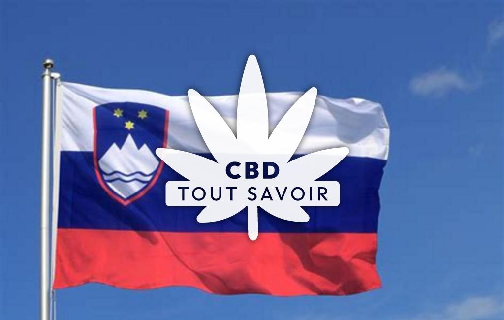 Drapeau Slovénie avec feuille Cannabis CBD