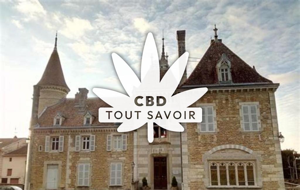 Village à Ambronay avec feuille Cannabis CBD