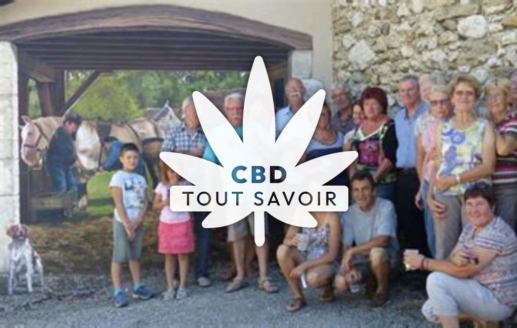 Village à Arboys-en-Bugey avec feuille Cannabis CBD