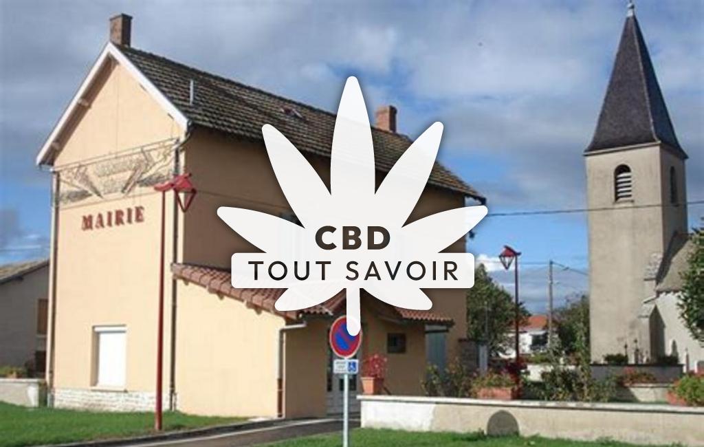 Village à Asnieres-sur-Saone avec feuille Cannabis CBD