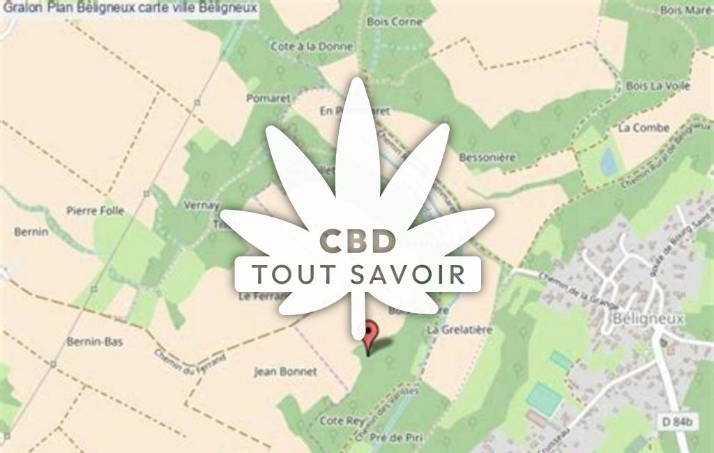 Village à Beligneux avec feuille Cannabis CBD