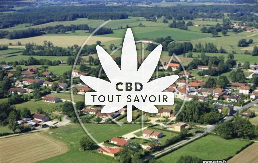 Village à Bereziat avec feuille Cannabis CBD