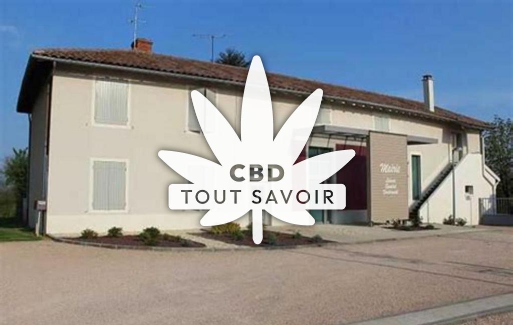 Village à Boissey avec feuille Cannabis CBD