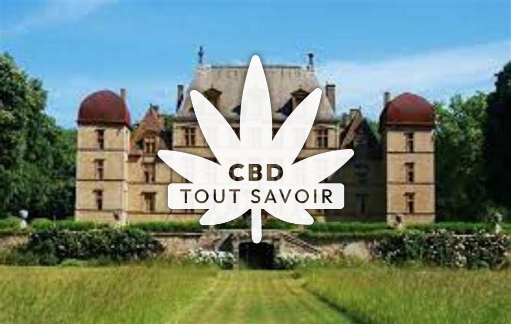 Village à Bouligneux avec feuille Cannabis CBD