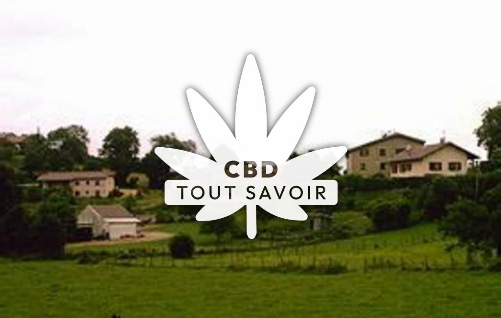 Village à Ceignes avec feuille Cannabis CBD