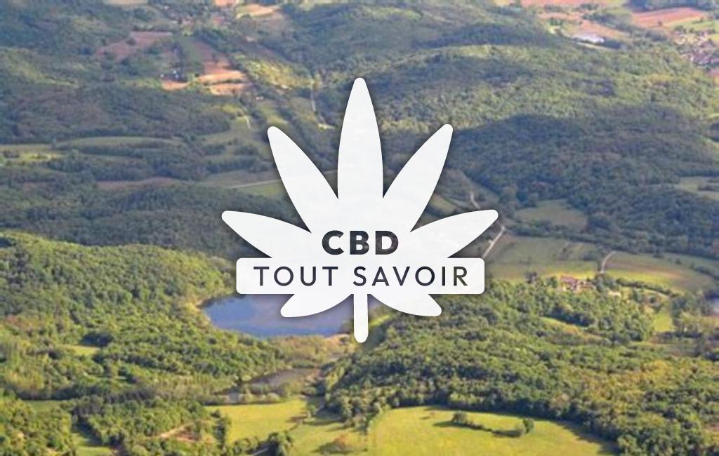 Village à Ceyzerieu avec feuille Cannabis CBD