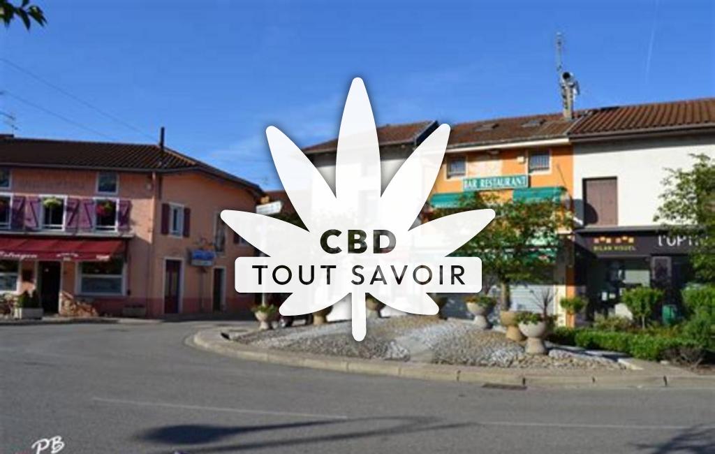 Village à Chalamont avec feuille Cannabis CBD