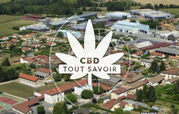 Village à Chaleins avec feuille Cannabis CBD