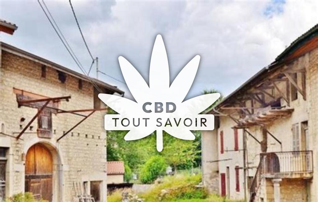 Village à Challes-la-Montagne avec feuille Cannabis CBD