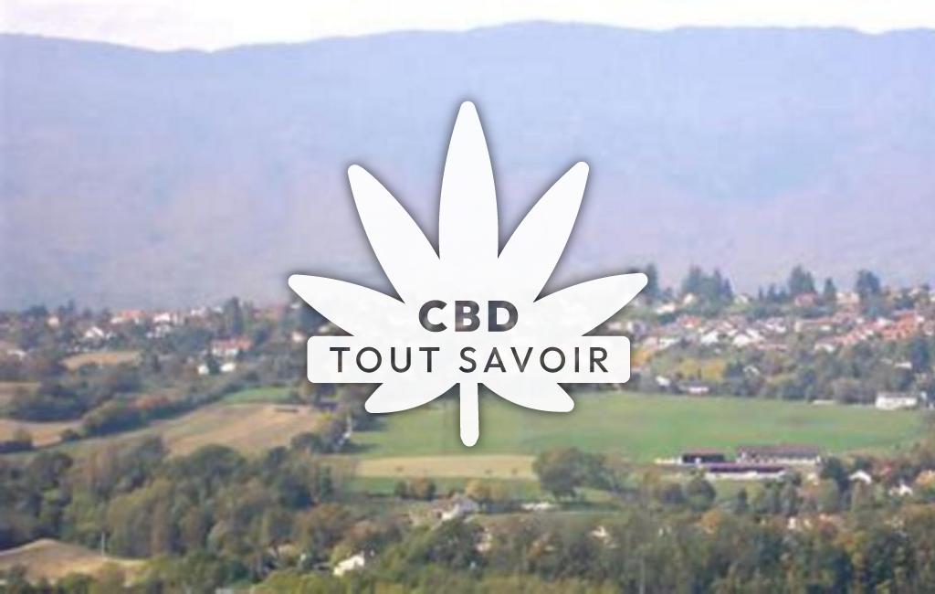 Village à Challex avec feuille Cannabis CBD