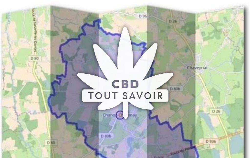 Village à Chanoz-Chatenay avec feuille Cannabis CBD