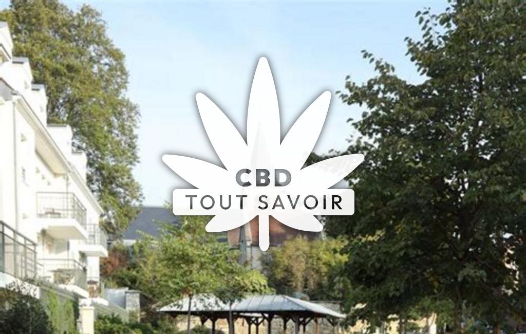 Village à Chatenay avec feuille Cannabis CBD