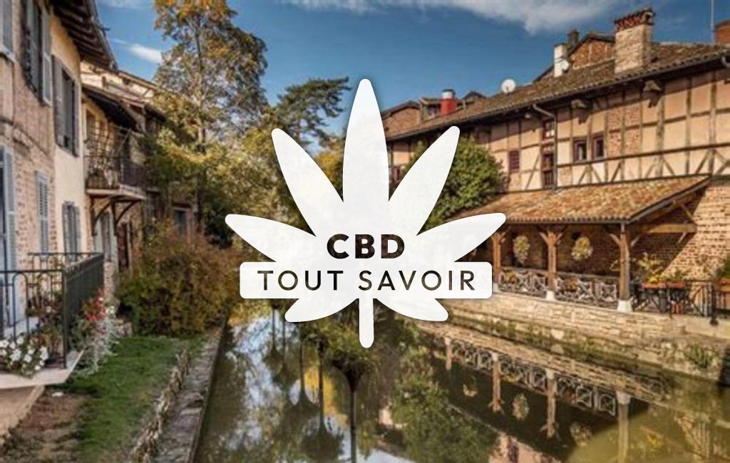 Village à Chatillon-sur-Chalaronne avec feuille Cannabis CBD