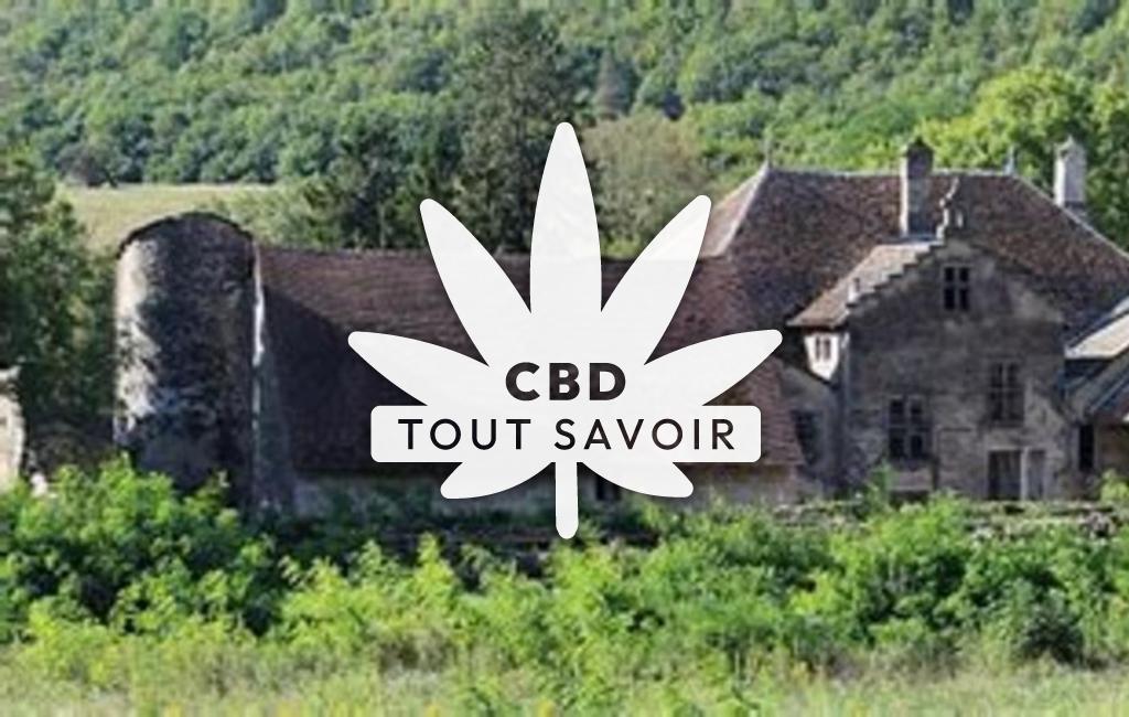 Village à Cheignieu-la-Balme avec feuille Cannabis CBD