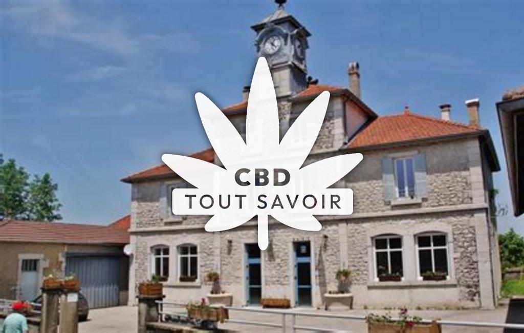 Village à Chevillard avec feuille Cannabis CBD