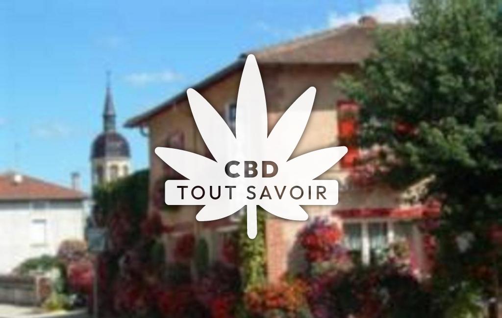 Village à Condeissiat avec feuille Cannabis CBD