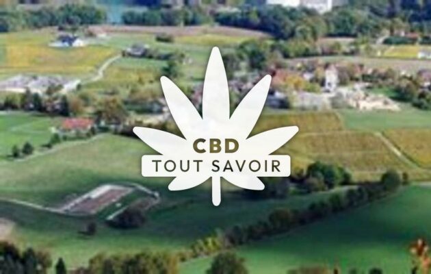 Village à Corbonod avec feuille Cannabis CBD