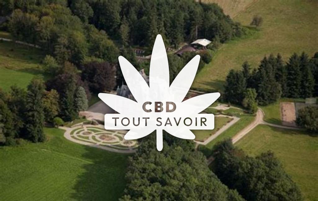 Village à Joyeux avec feuille Cannabis CBD