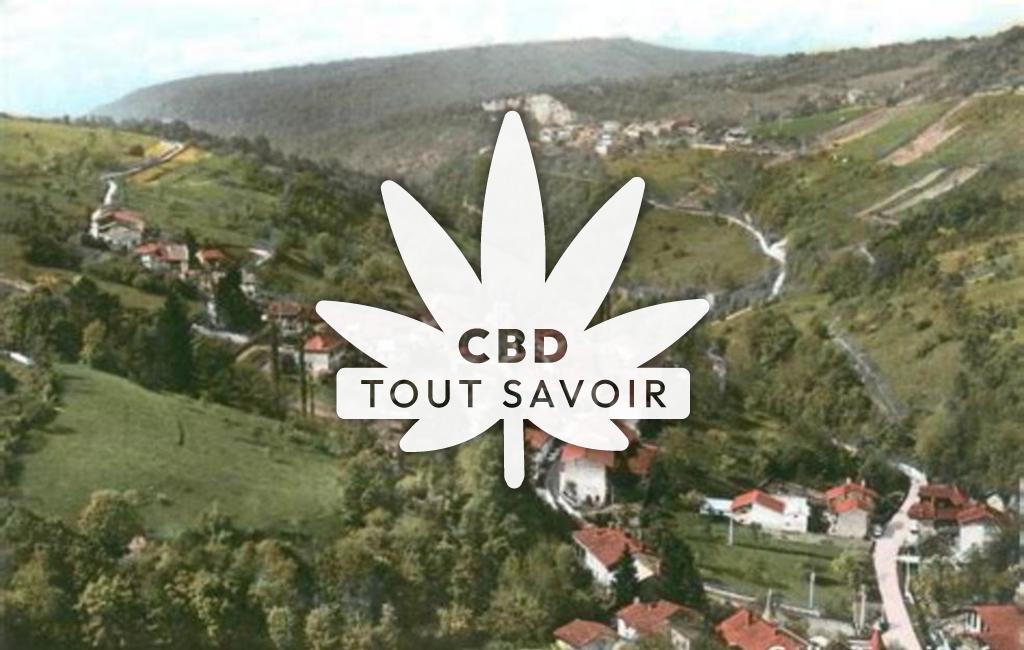 Village à L'Abergement-de-Varey avec feuille Cannabis CBD