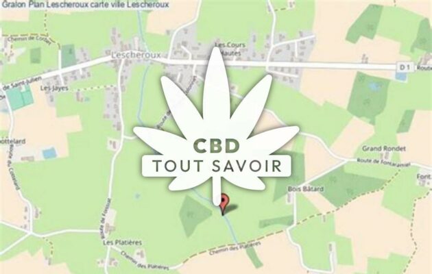 Village à Lescheroux avec feuille Cannabis CBD