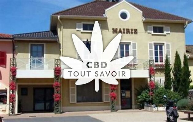 Village à Manziat avec feuille Cannabis CBD