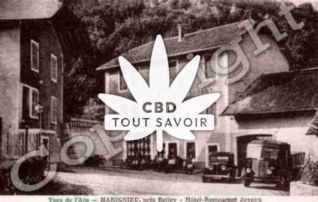 Village à Marignieu avec feuille Cannabis CBD