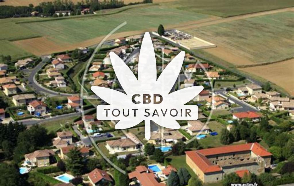 Village à Massieux avec feuille Cannabis CBD