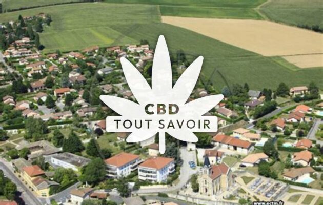 Village à Mionnay avec feuille Cannabis CBD