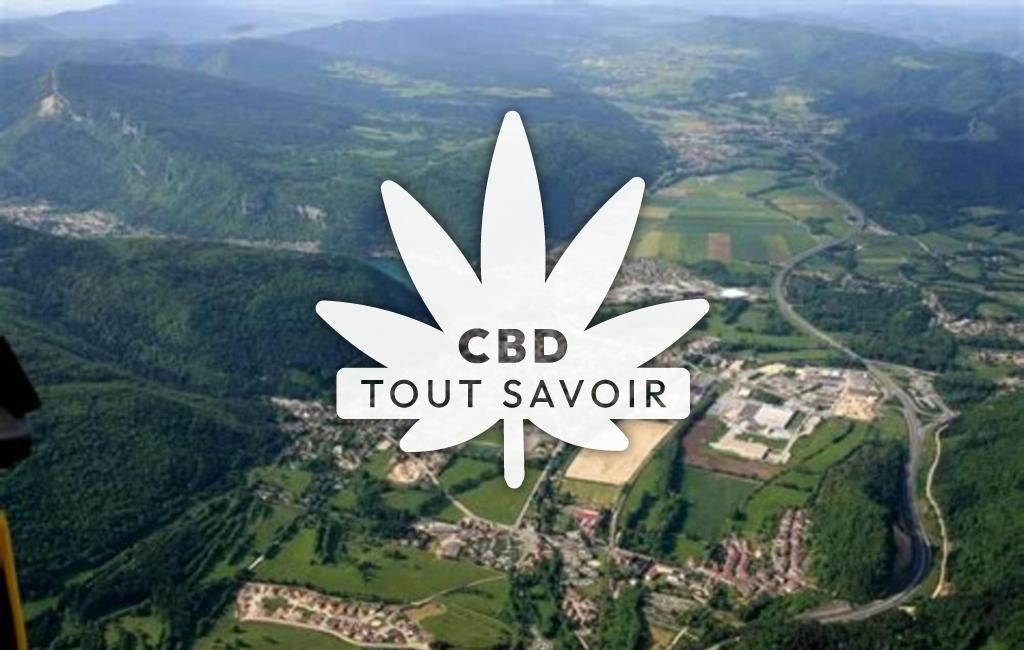 Village à Montreal-la-Cluse avec feuille Cannabis CBD