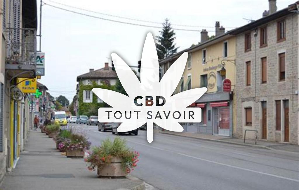 Village à Montrevel-en-Bresse avec feuille Cannabis CBD