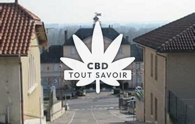 Village à Neyron avec feuille Cannabis CBD