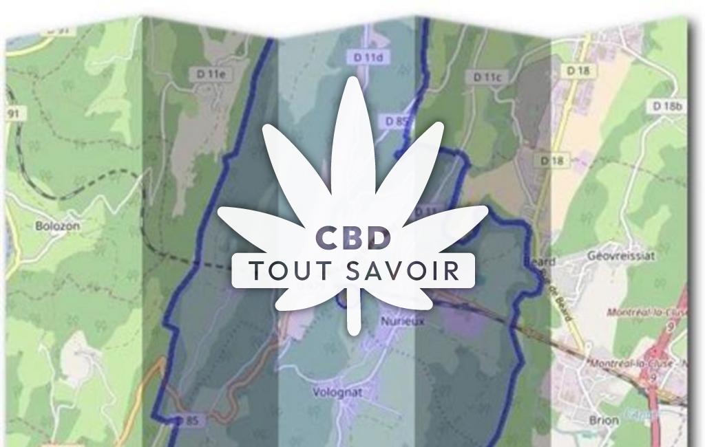 Village à Nurieux-Volognat avec feuille Cannabis CBD