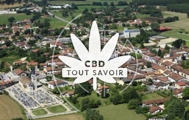 Village à Polliat avec feuille Cannabis CBD