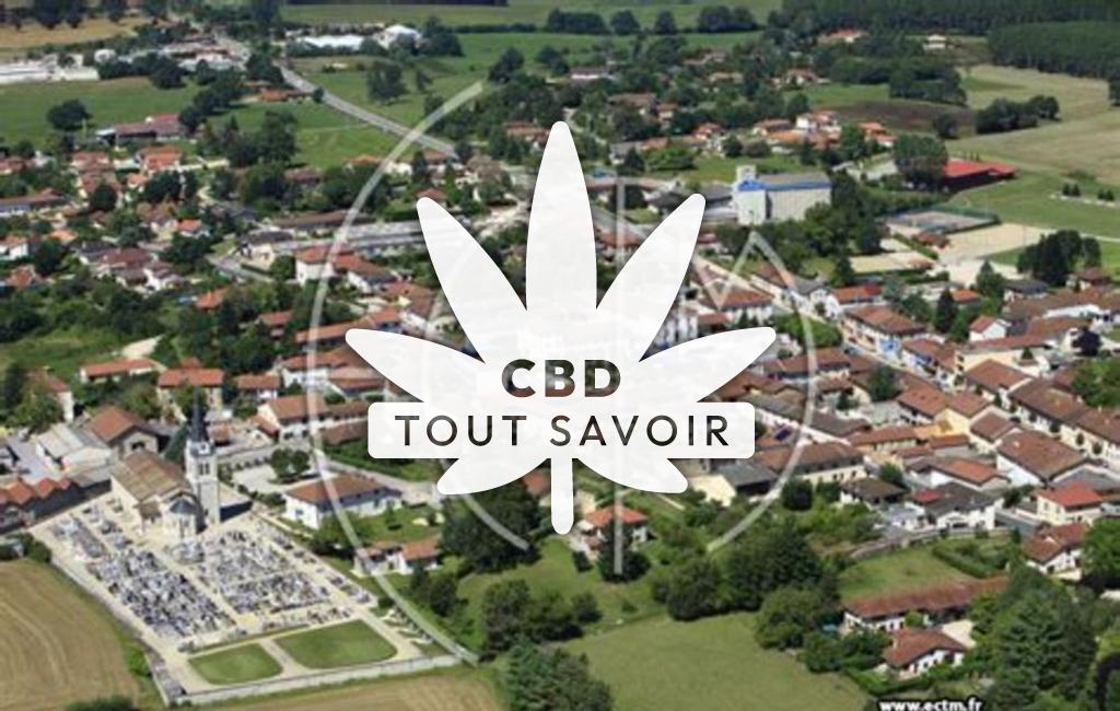 Village à Polliat avec feuille Cannabis CBD