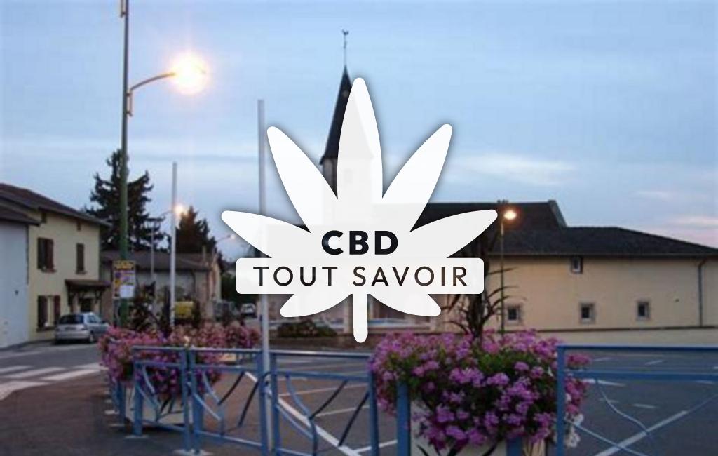 Village à Replonges avec feuille Cannabis CBD