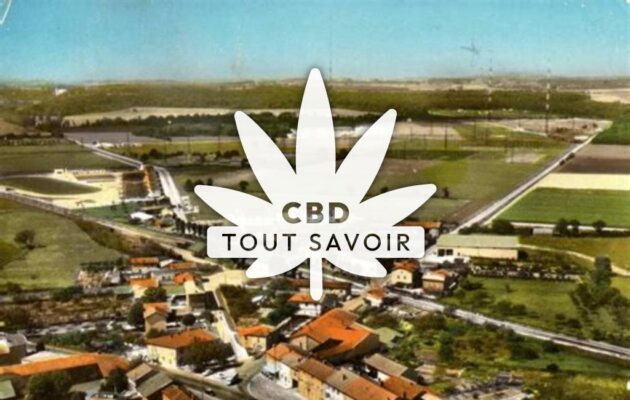 Village à Saint-Andre-de-Corcy avec feuille Cannabis CBD