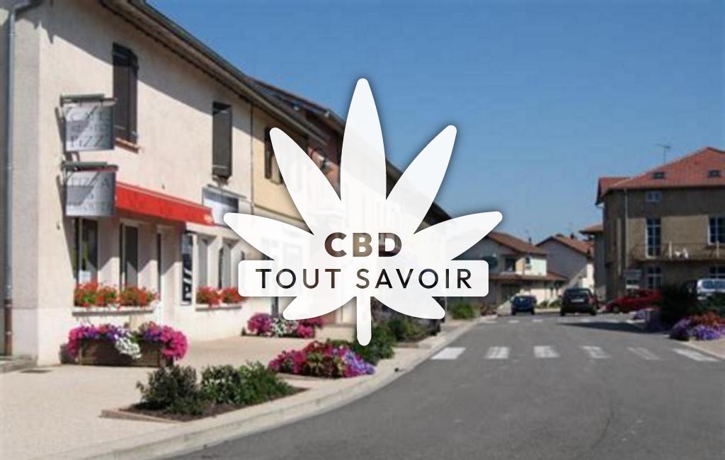 Village à Saint-Andre-sur-Vieux-Jonc avec feuille Cannabis CBD