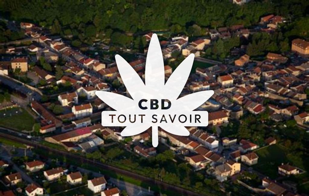 Village à Saint-Denis-en-Bugey avec feuille Cannabis CBD