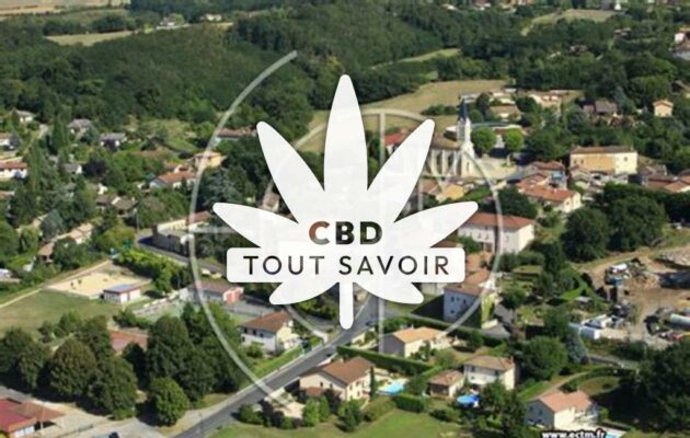 Village à Saint-Didier-de-Formans avec feuille Cannabis CBD