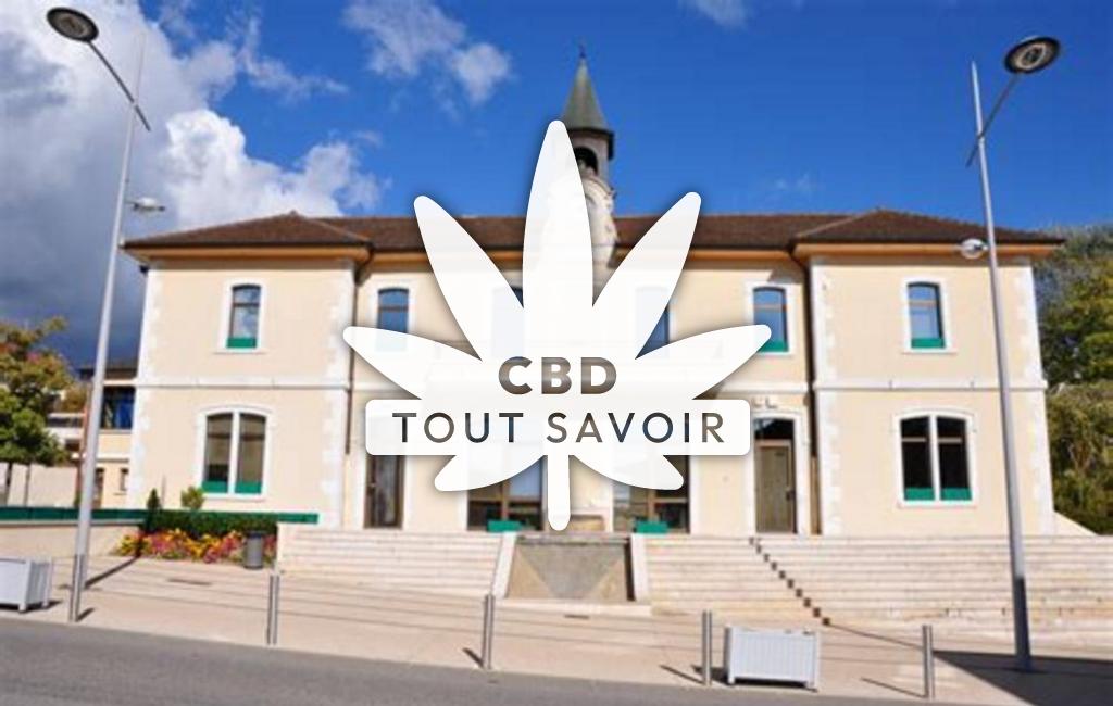 Village à Saint-Genis-Pouilly avec feuille Cannabis CBD