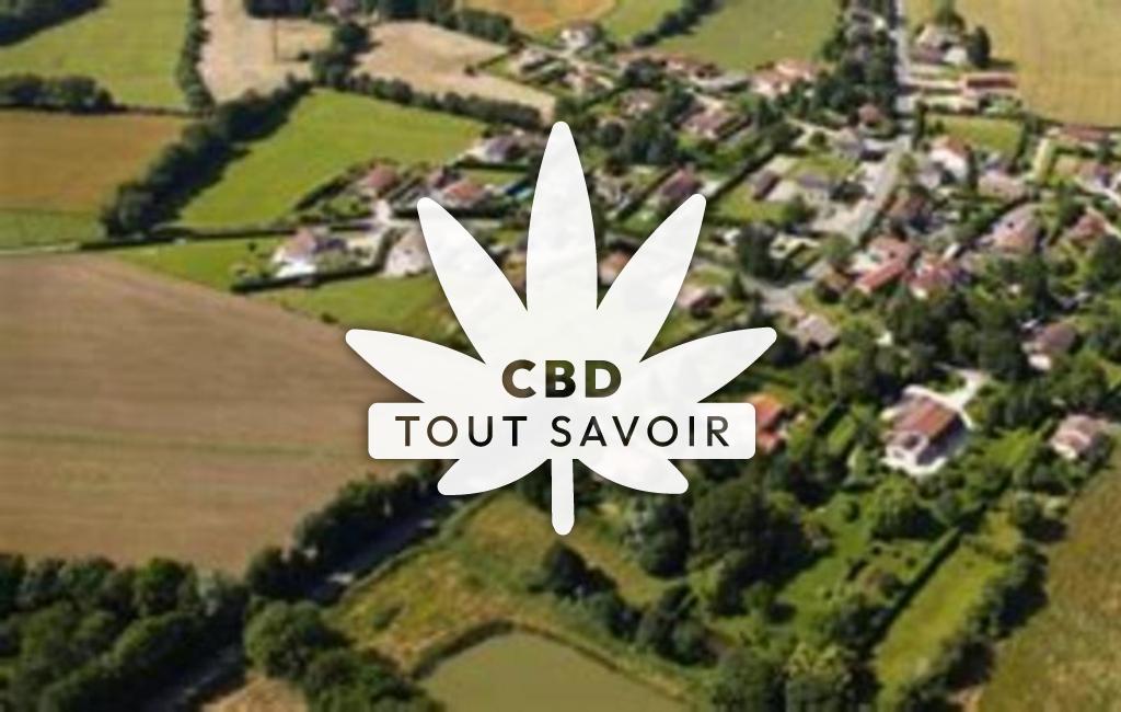 Village à Saint-Georges-sur-Renon avec feuille Cannabis CBD