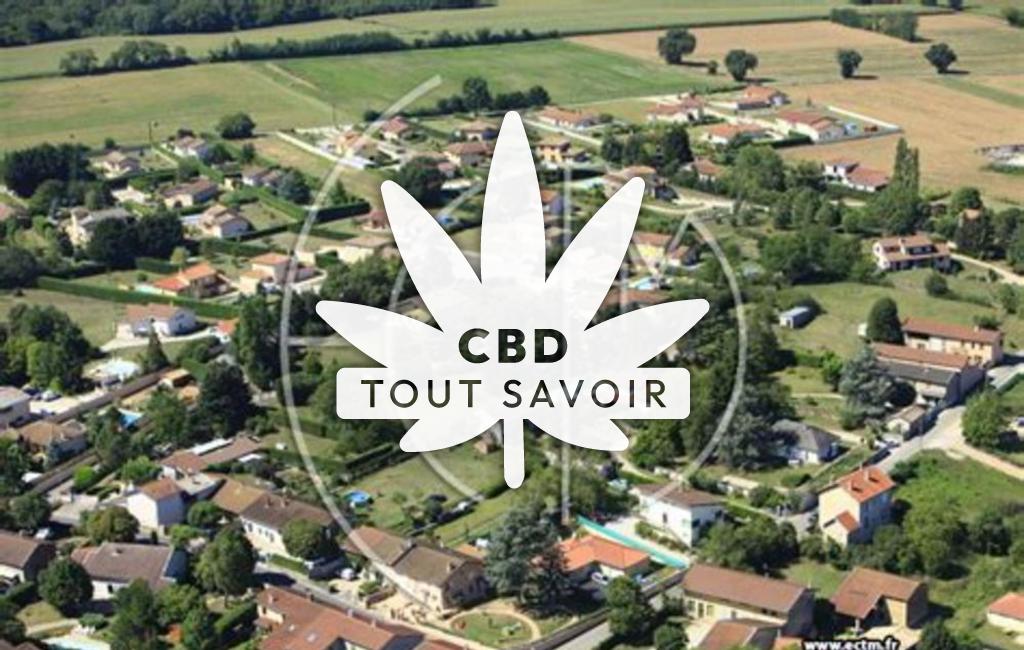 Village à Saint-Jean-de-Niost avec feuille Cannabis CBD